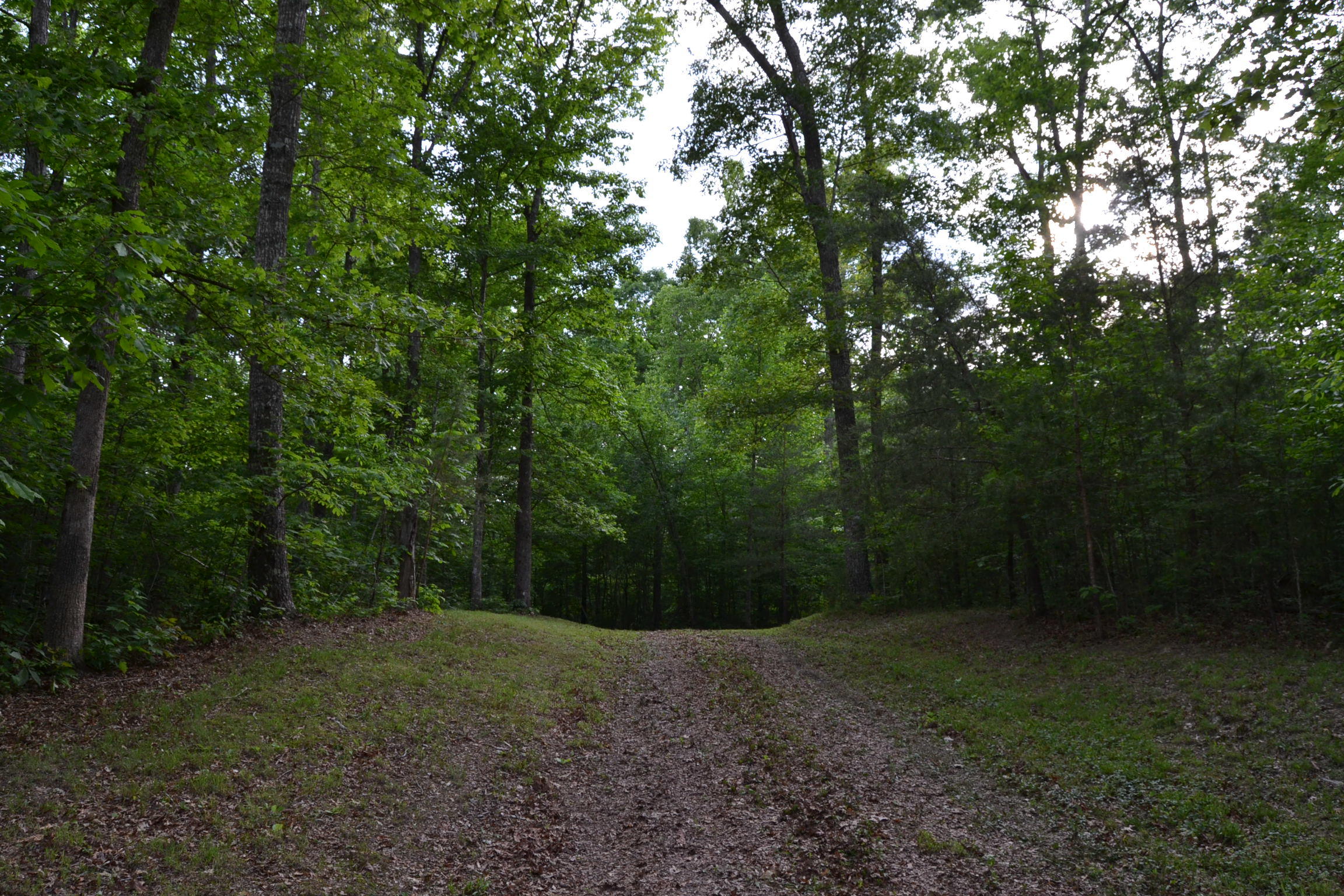 262 McCormic Road Crossville, TN 38571 - Photo 7 of 23 7