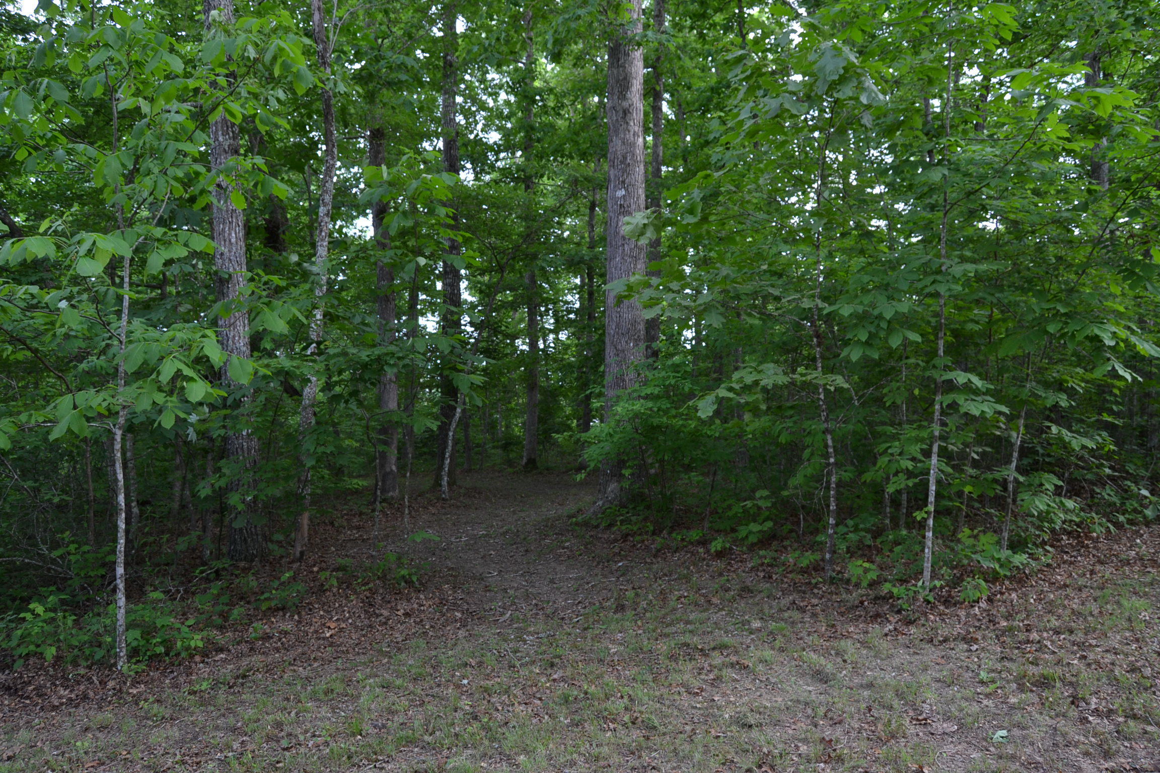 262 McCormic Road Crossville, TN 38571 - Photo 8 of 23 8