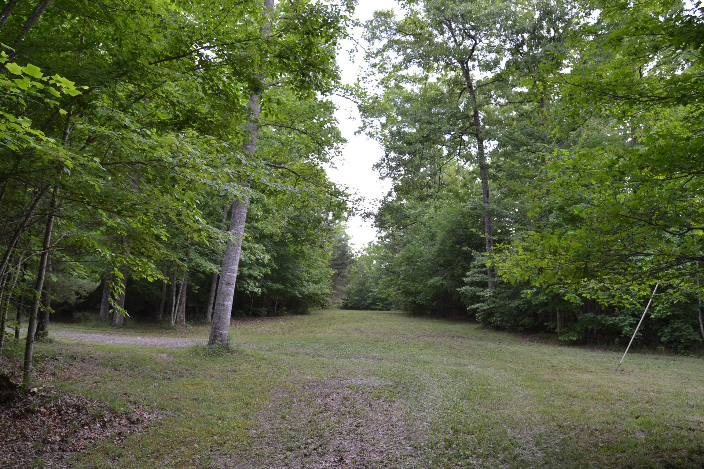 262 McCormic Road Crossville, TN 38571 - Photo 9 of 23 9
