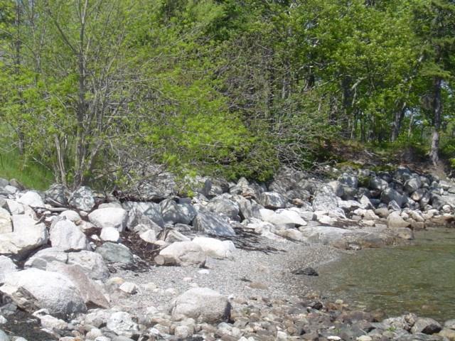 232 Byards Point Road Sedgwick, ME 04673 - Photo 22 of 31 Beach area
