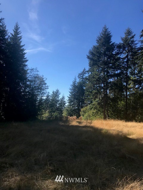 136-xx Southwest Madrona Road Vashon, WA 98070 - Photo 1 of 3 Gallery Image 1