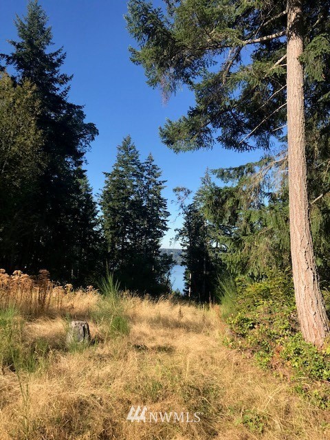 136-xx Southwest Madrona Road Vashon, WA 98070 - Photo 3 of 3 Gallery Image 3