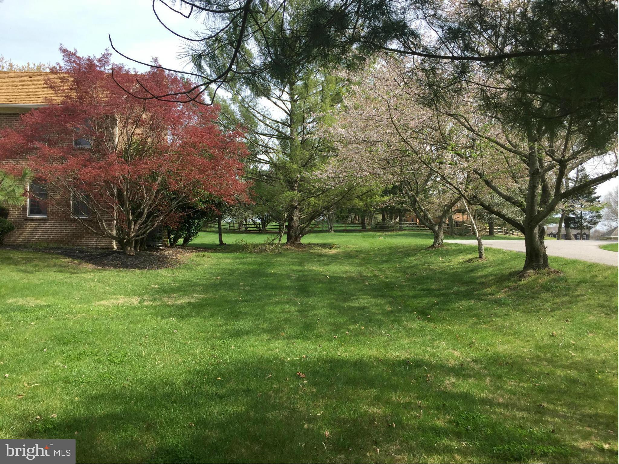 12205 Pleasant Prospect Bowie, MD 20721 - Photo 29 of 30 a view of a park with large trees