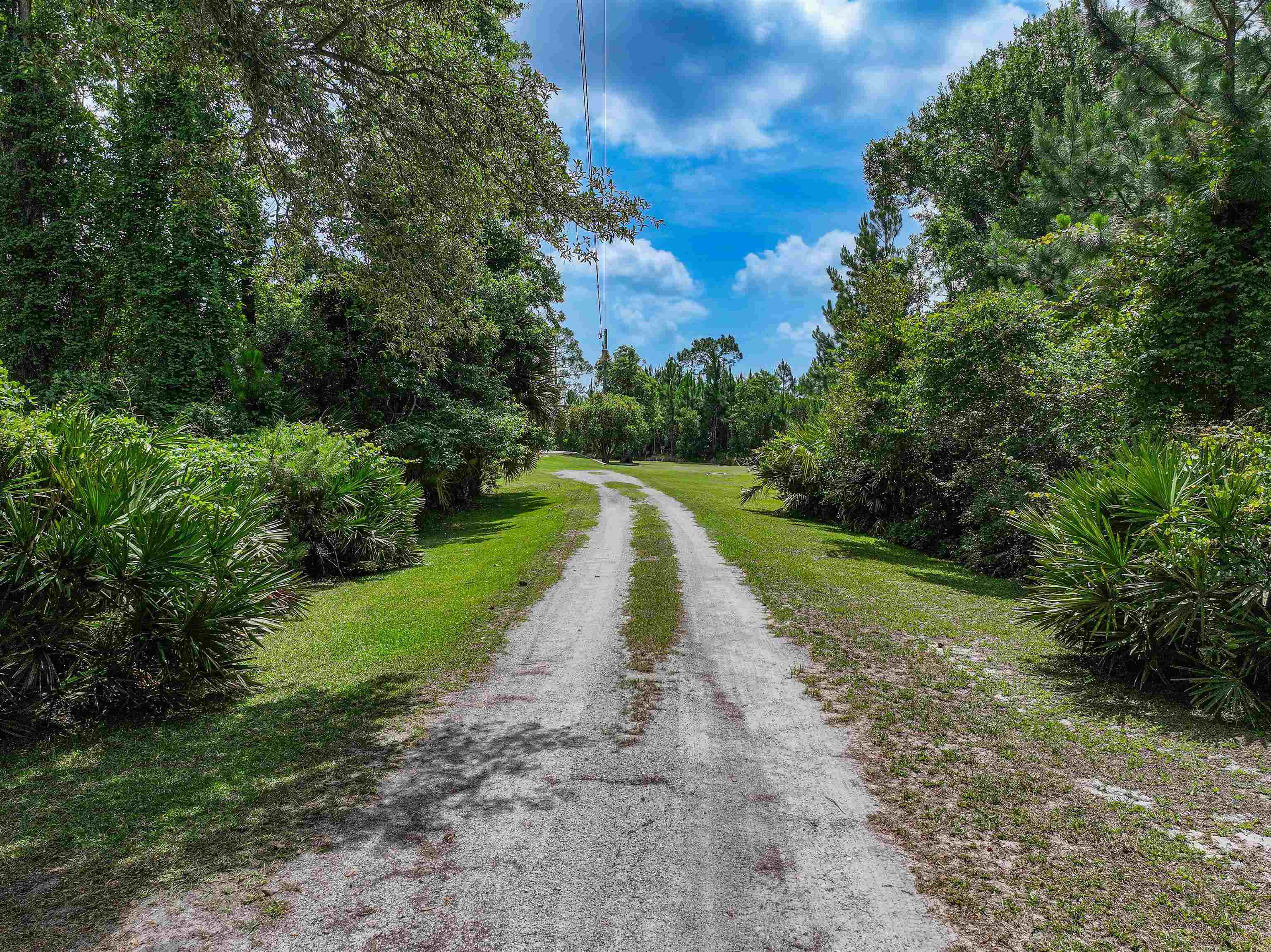 825 Faver Dykes Road St. Augustine, FL 32086 - Photo 2 of 82
