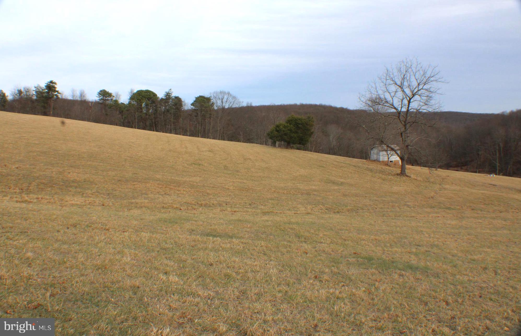 98 Olive Branch Road Baker, WV 26755 - Photo 12 of 52