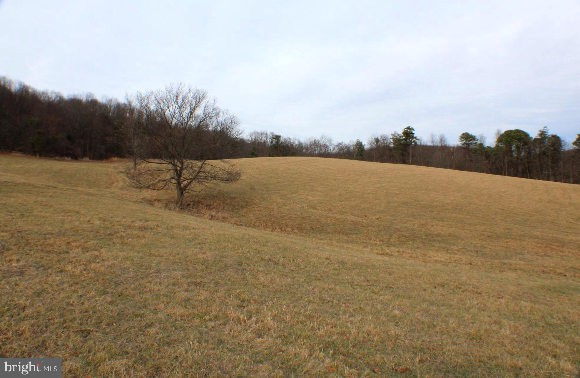 98 Olive Branch Road Baker, WV 26755 - Photo 13 of 52