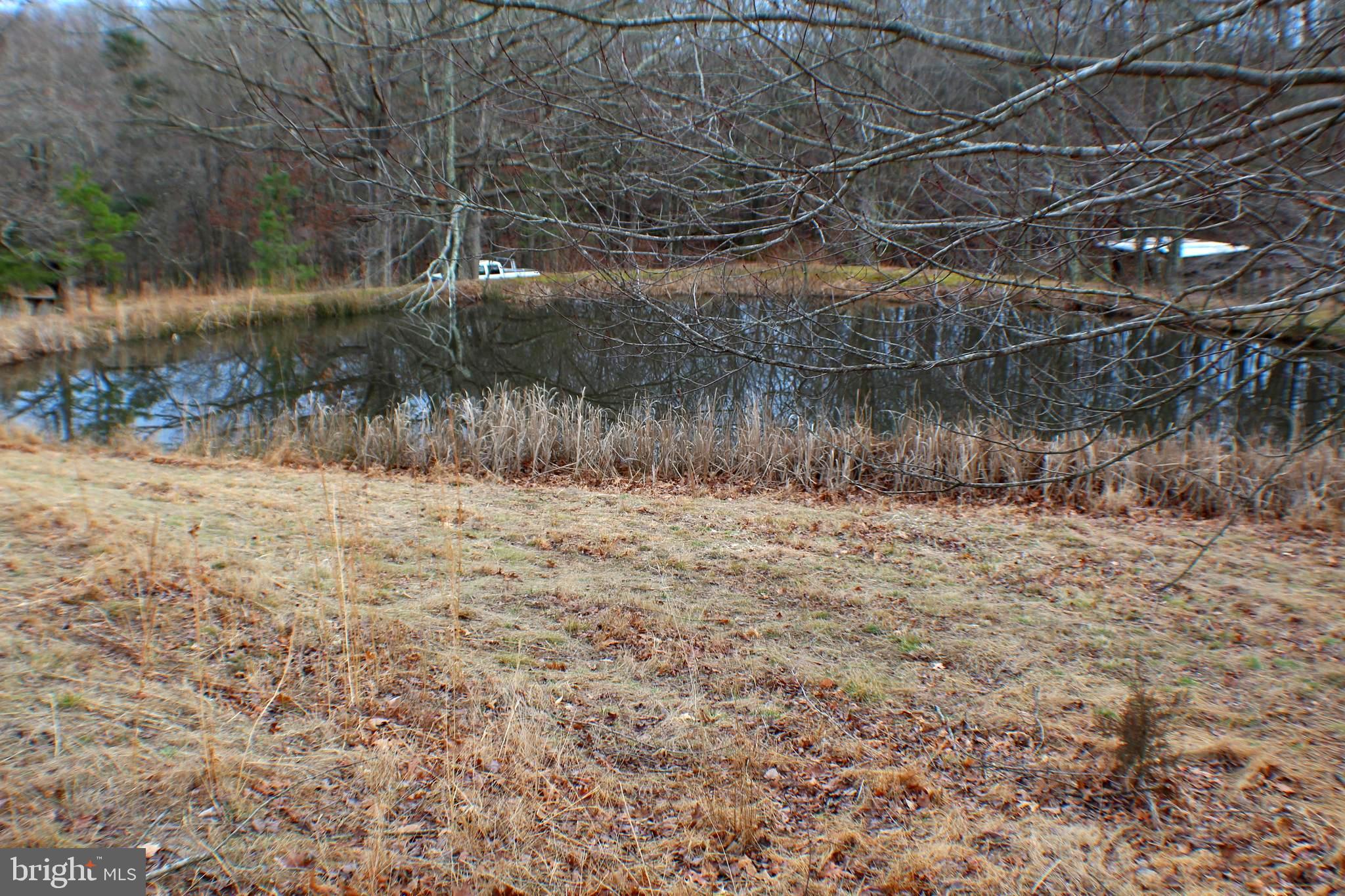 98 Olive Branch Road Baker, WV 26755 - Photo 3 of 52