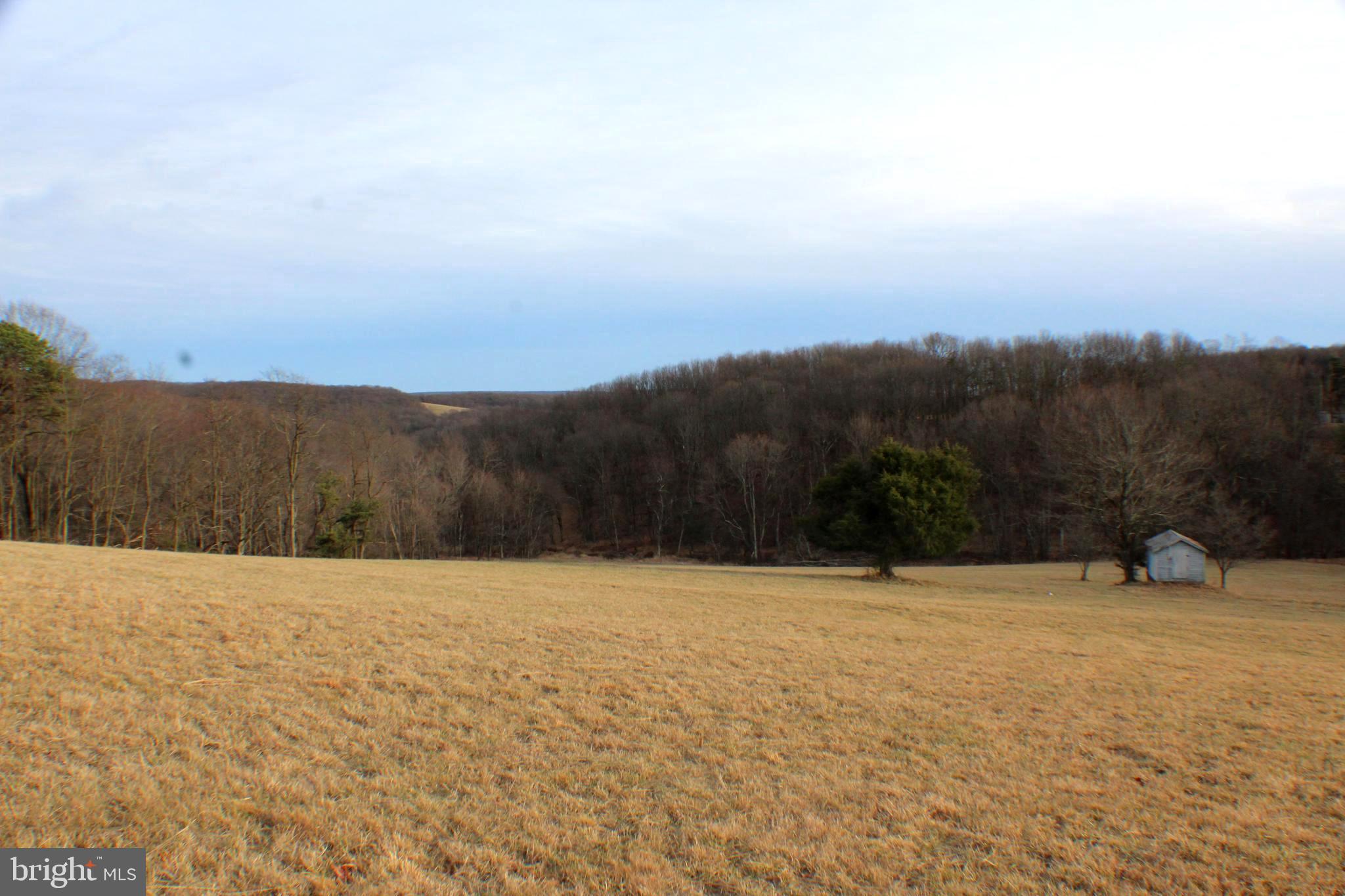 98 Olive Branch Road Baker, WV 26755 - Photo 31 of 52