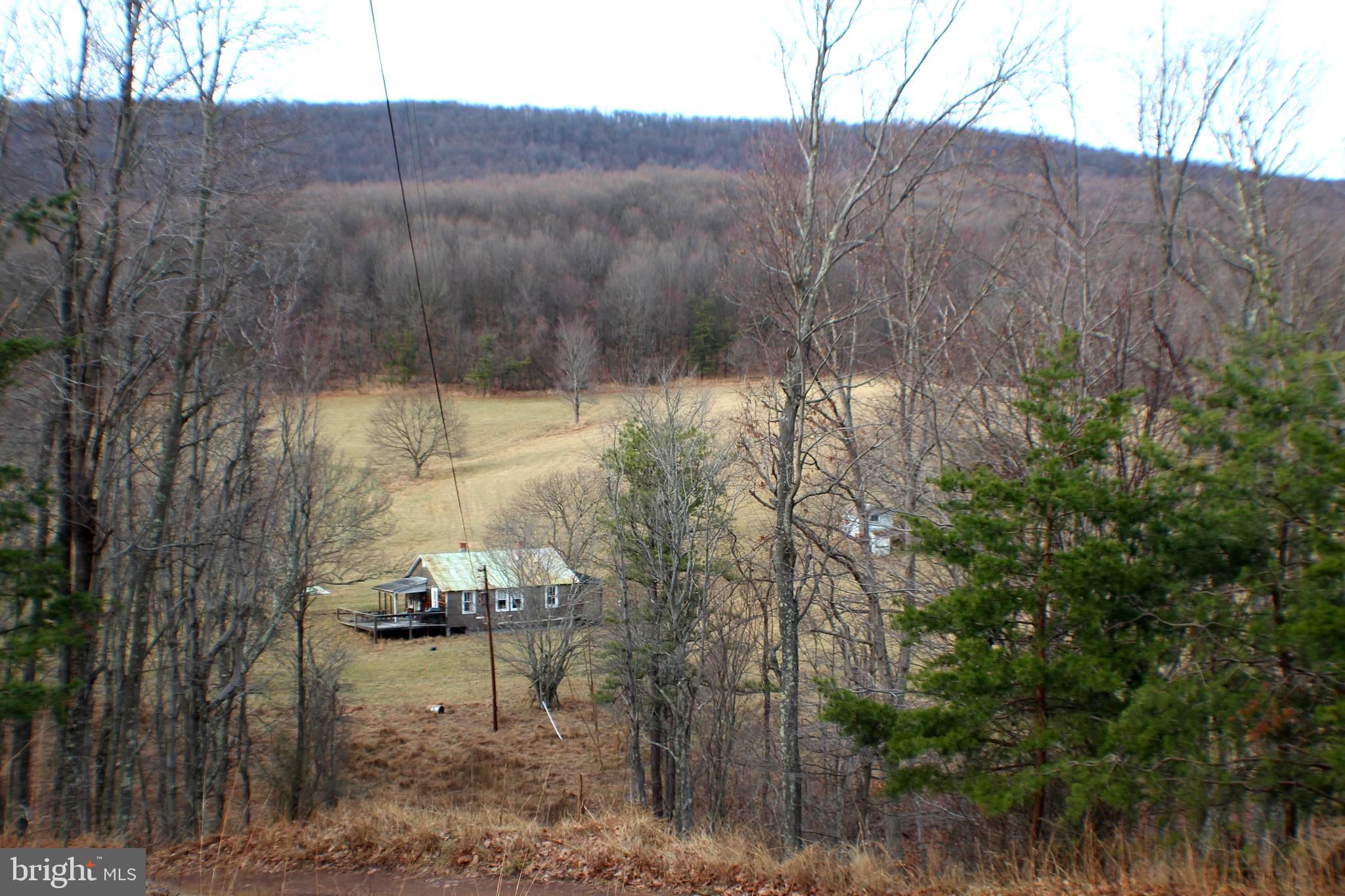 98 Olive Branch Road Baker, WV 26755 - Photo 36 of 52