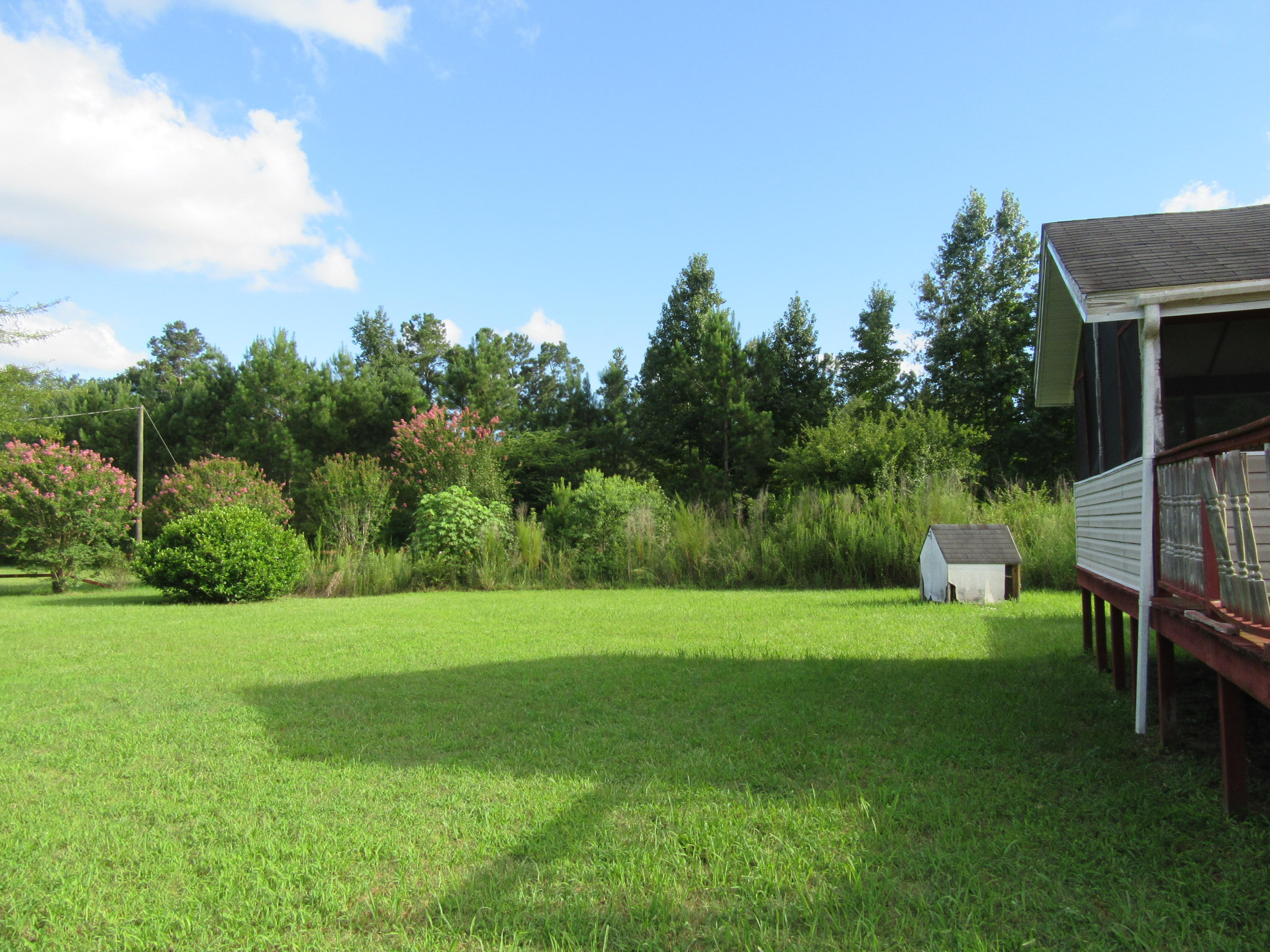 178 Wagon Trail Road Ridgeville, SC 29472 - Photo 12 of 12 Back yard