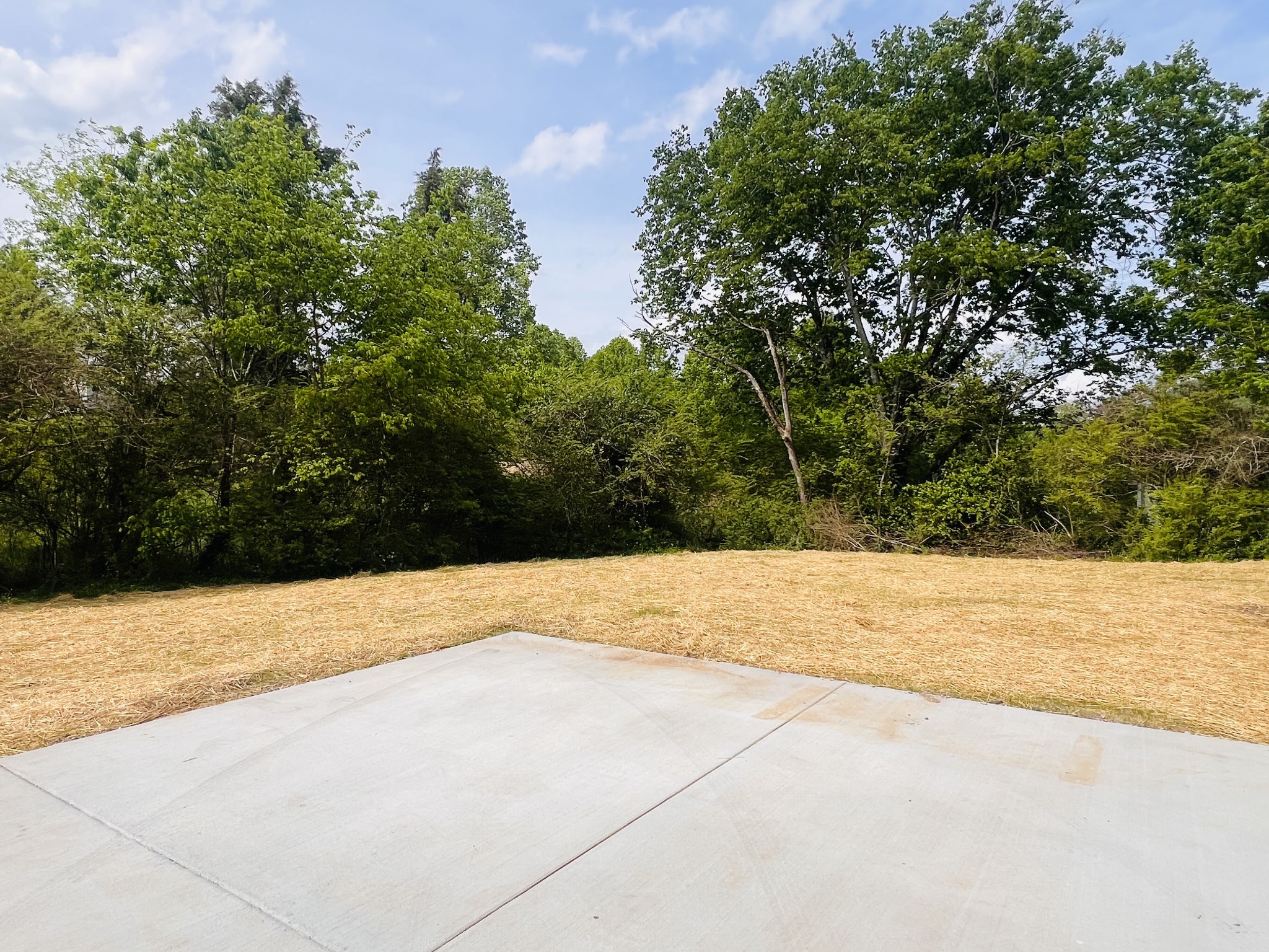 417 Defeated Creek Highway Carthage, TN 37030 - Photo 29 of 30 a view of yard with large trees