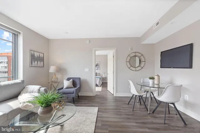 a living room with furniture a rug potted plant and a window