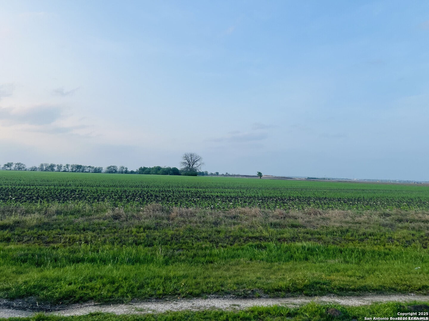 Lot 3 Lower Seguin Road Cibolo, TX 78108 - Photo 2 of 4