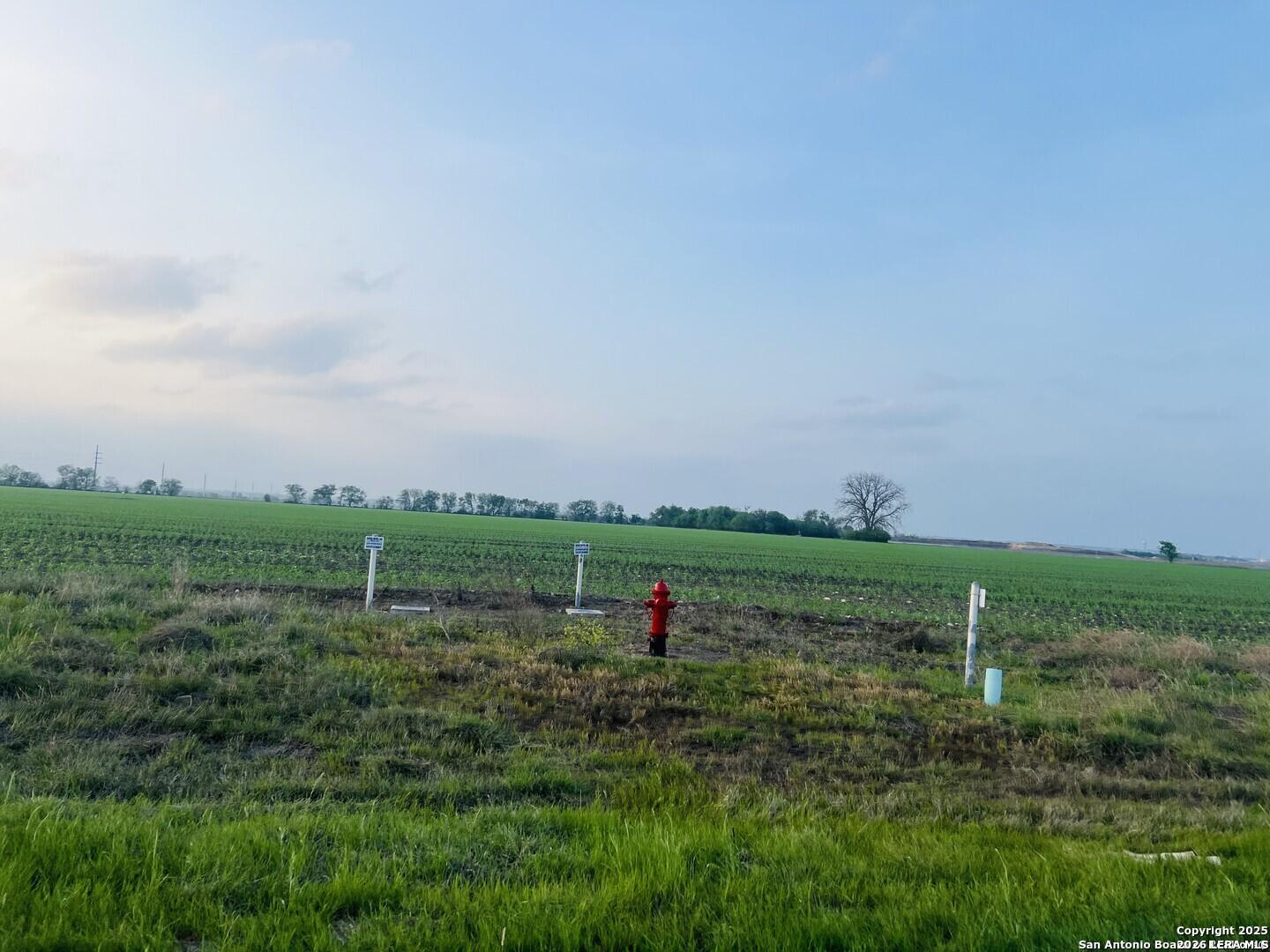 Lot 3 Lower Seguin Road Cibolo, TX 78108 - Photo 4 of 4