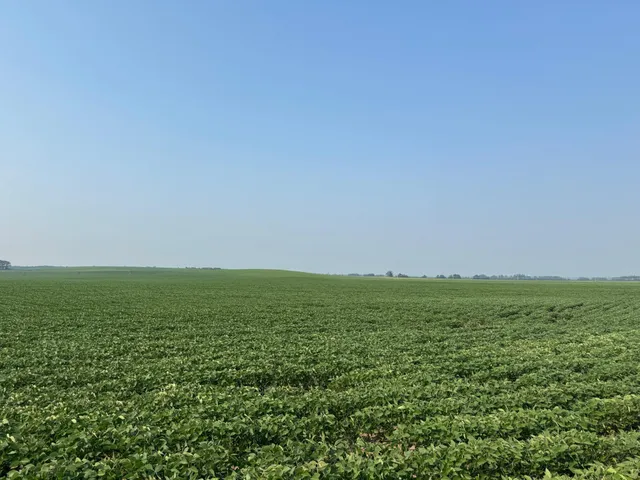 $2,957,409 | 0 County 61, Browerville, MN 56438