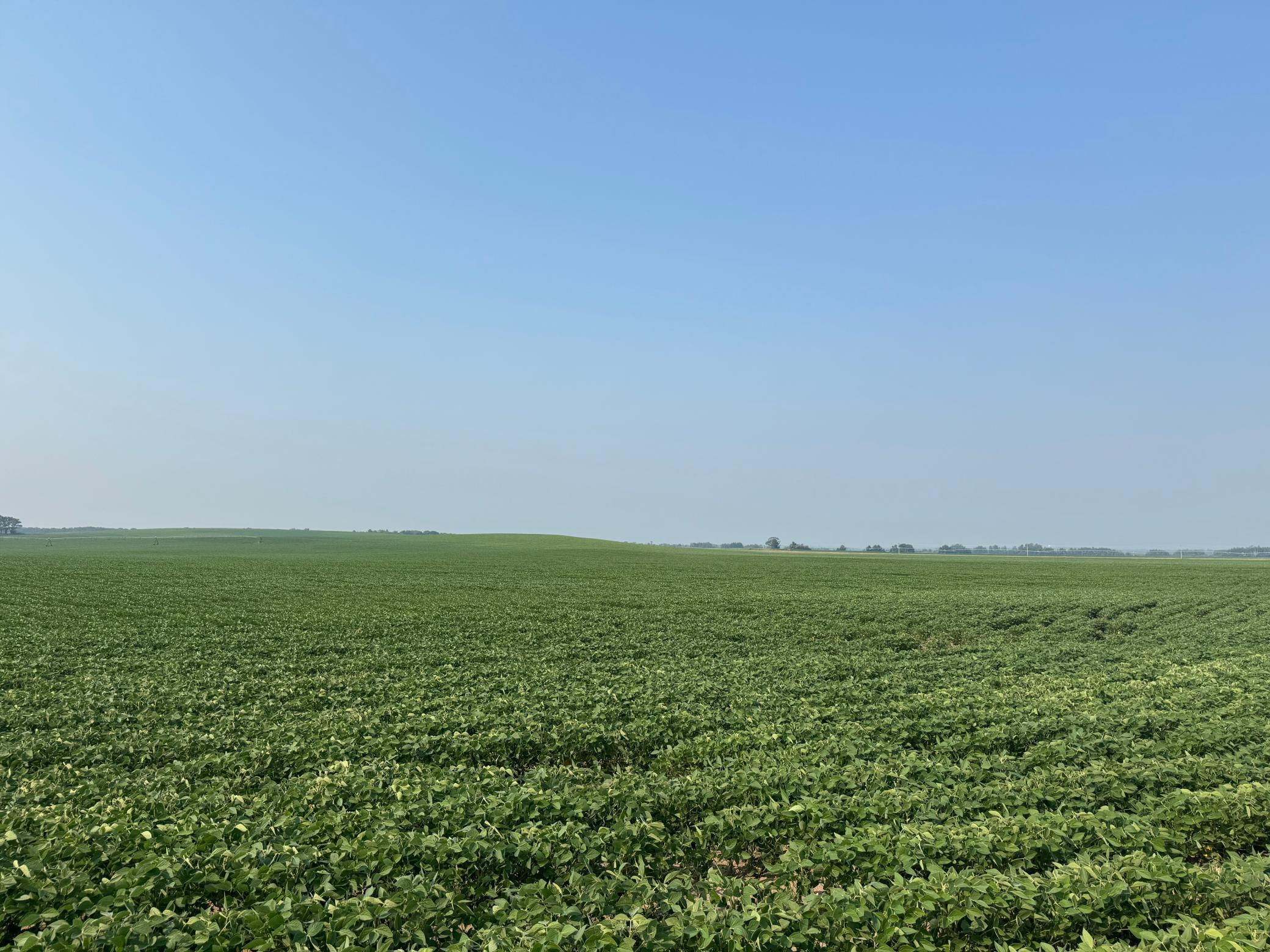 0 County 61 Browerville, MN 56438 - Photo 11 of 59