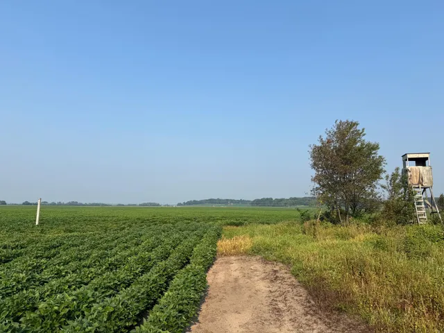 $2,957,409 | 0 County 61, Browerville, MN 56438