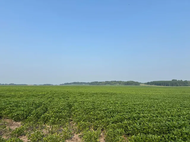 $2,957,409 | 0 County 61, Browerville, MN 56438