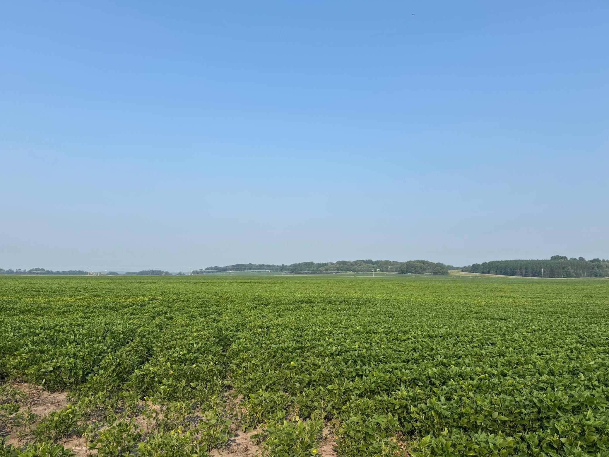 0 County 61 Browerville, MN 56438 - Photo 13 of 59