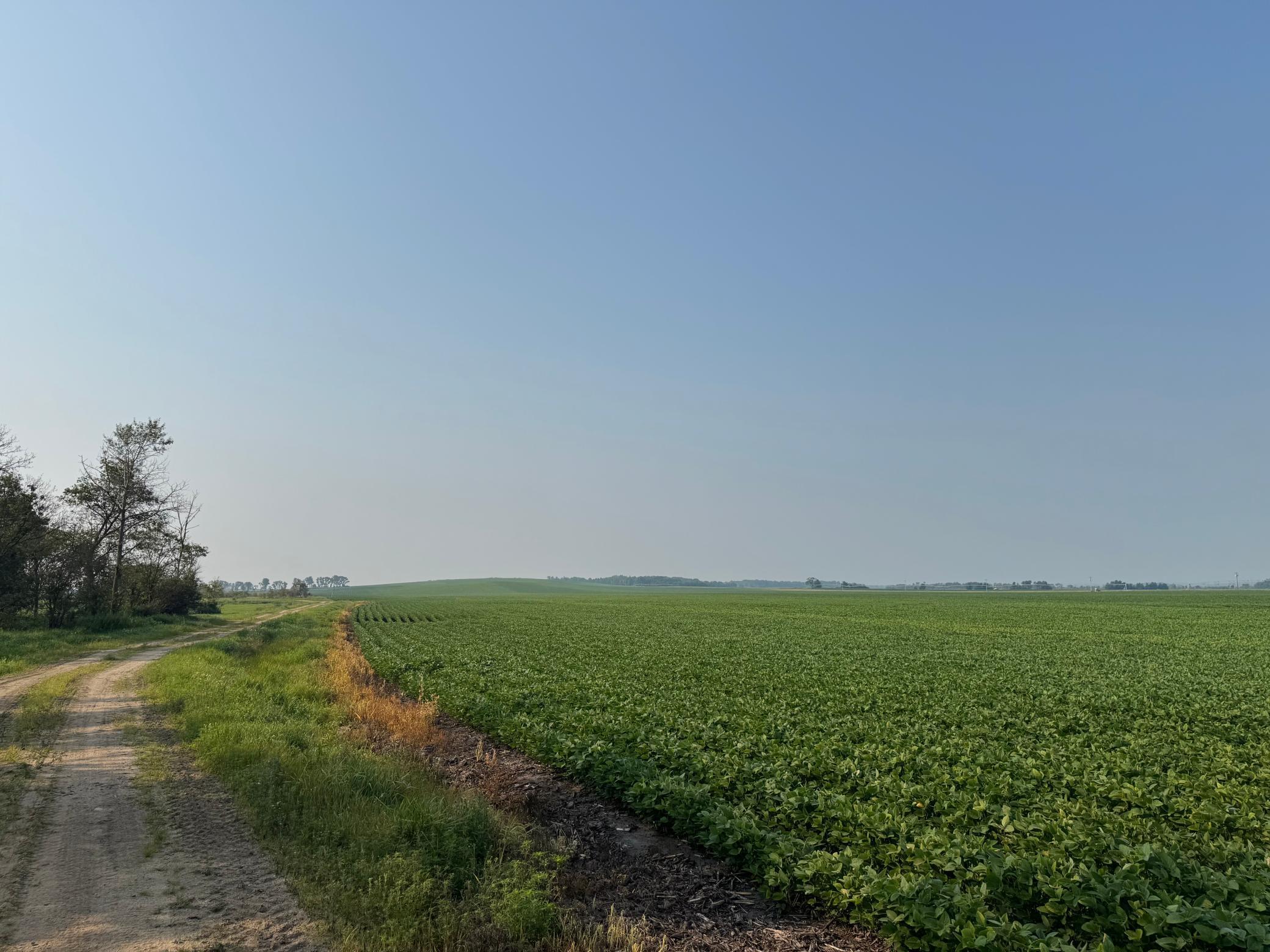 0 County 61 Browerville, MN 56438 - Photo 14 of 59