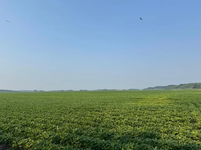 $2,957,409 | 0 County 61, Browerville, MN 56438