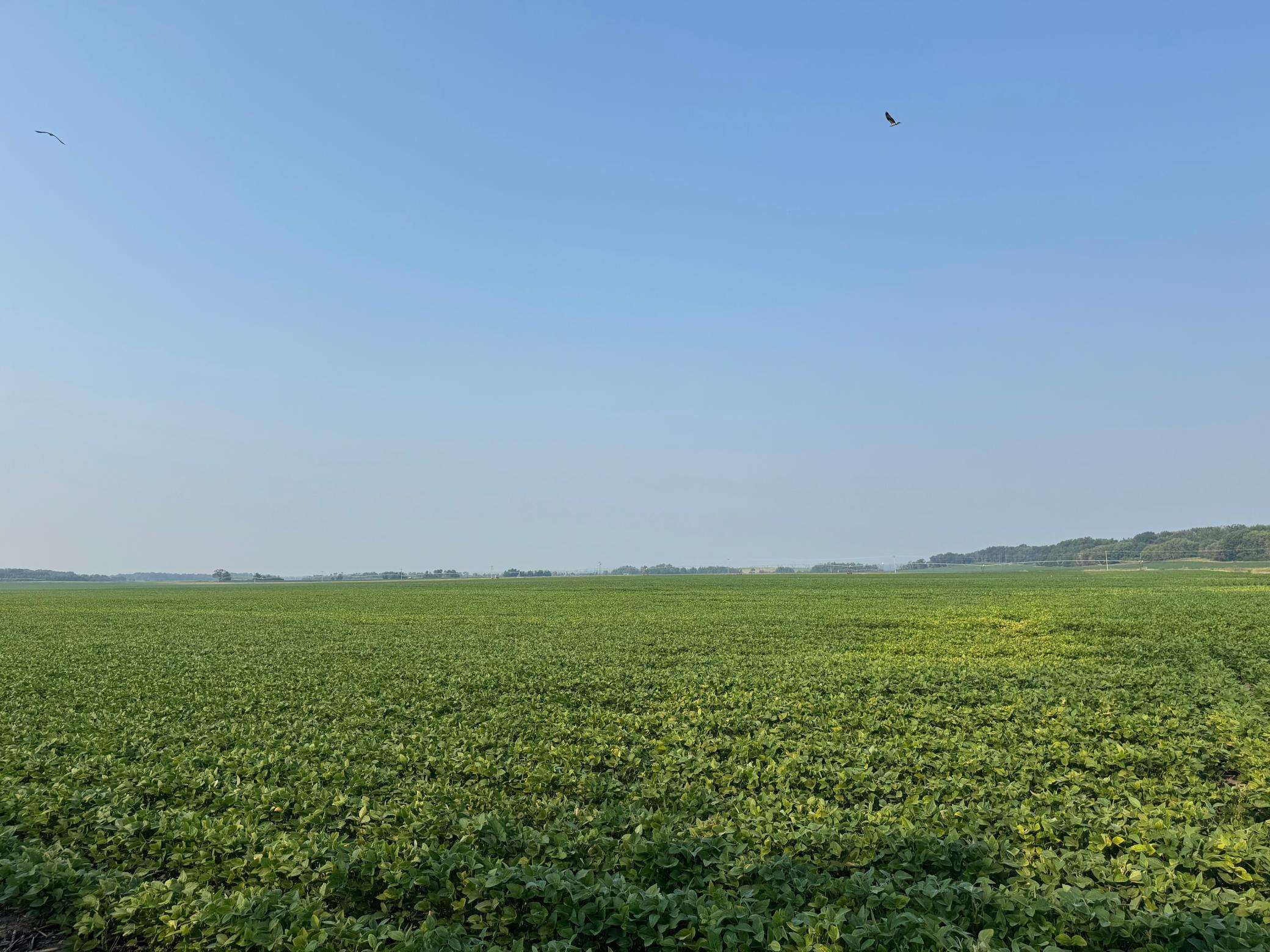 0 County 61 Browerville, MN 56438 - Photo 15 of 59