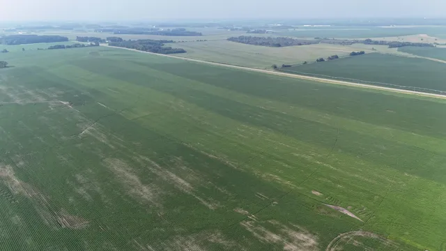 $2,957,409 | 0 County 61, Browerville, MN 56438