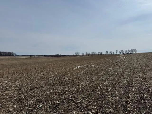 $2,957,409 | 0 County 61, Browerville, MN 56438