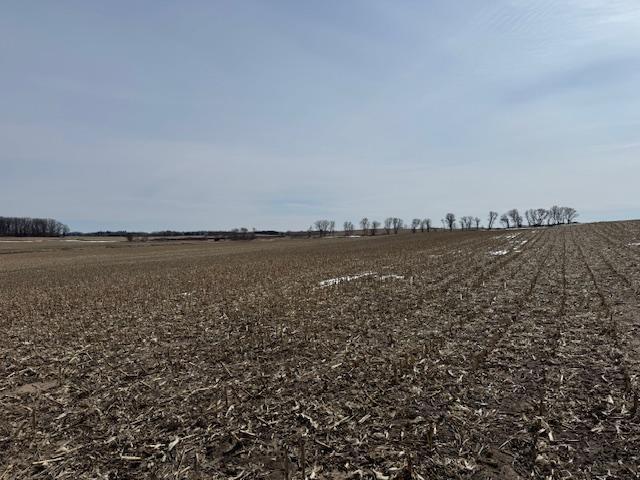 0 County 61 Browerville, MN 56438 - Photo 22 of 59