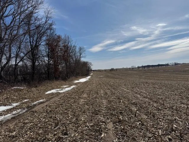 $2,957,409 | 0 County 61, Browerville, MN 56438