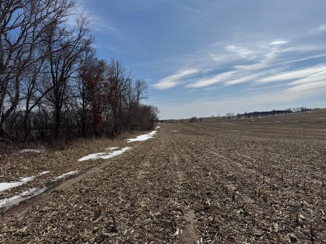 0 County 61 Browerville, MN 56438 - Photo 32 of 59