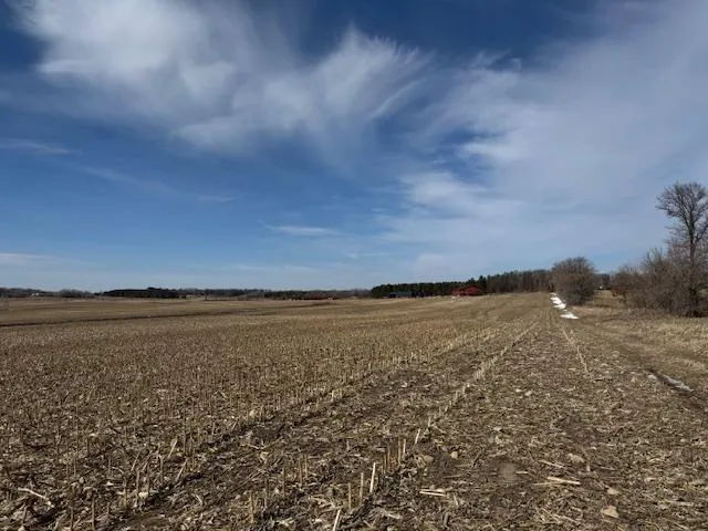 $2,957,409 | 0 County 61, Browerville, MN 56438