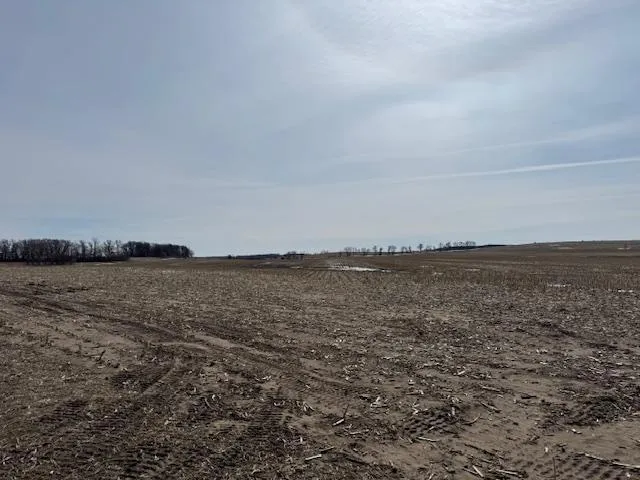 $2,957,409 | 0 County 61, Browerville, MN 56438