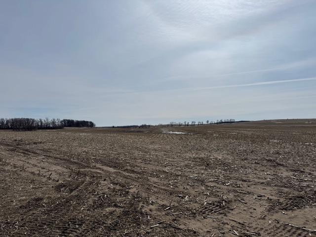 0 County 61 Browerville, MN 56438 - Photo 36 of 59