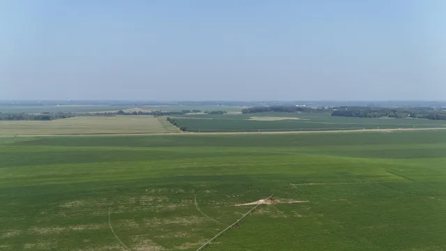 $2,957,409 | 0 County 61, Browerville, MN 56438