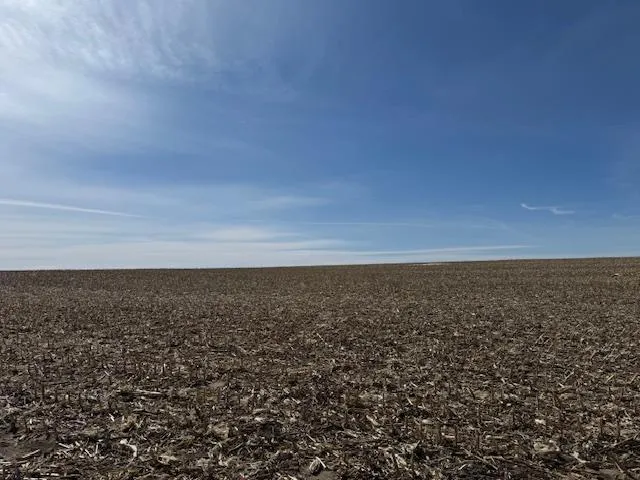 $2,957,409 | 0 County 61, Browerville, MN 56438