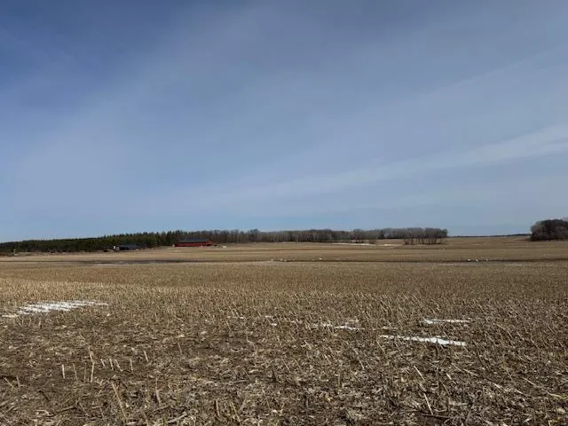 $2,957,409 | 0 County 61, Browerville, MN 56438