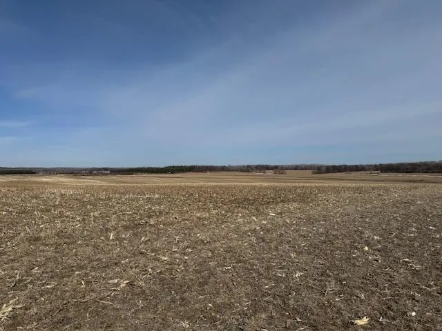 $2,957,409 | 0 County 61, Browerville, MN 56438