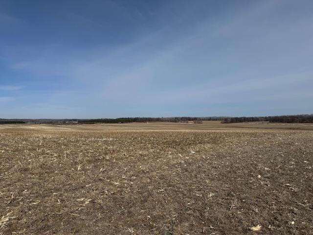 0 County 61 Browerville, MN 56438 - Photo 46 of 59