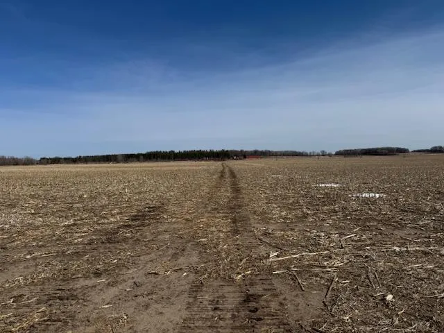 $2,957,409 | 0 County 61, Browerville, MN 56438