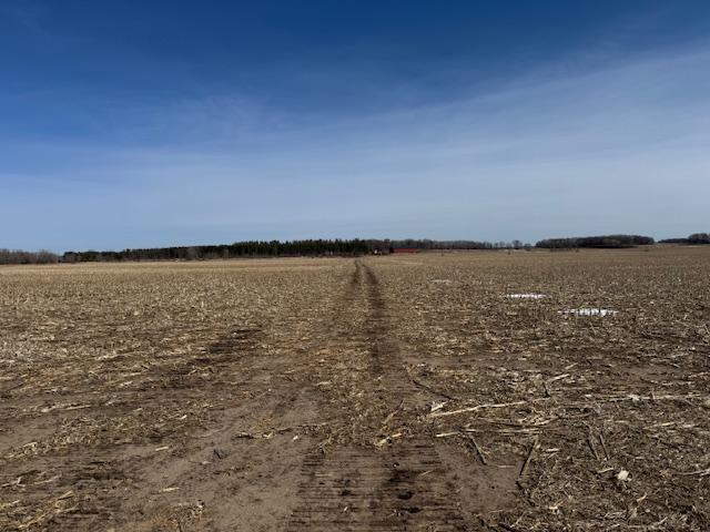 0 County 61 Browerville, MN 56438 - Photo 47 of 59