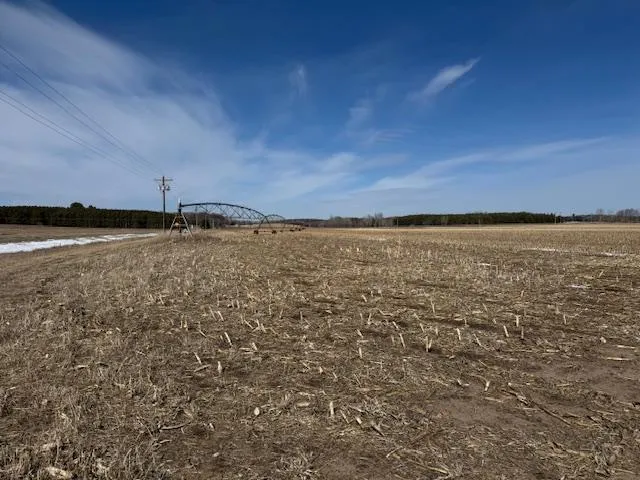 $2,957,409 | 0 County 61, Browerville, MN 56438