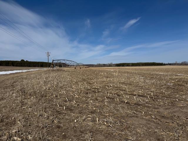 0 County 61 Browerville, MN 56438 - Photo 48 of 59