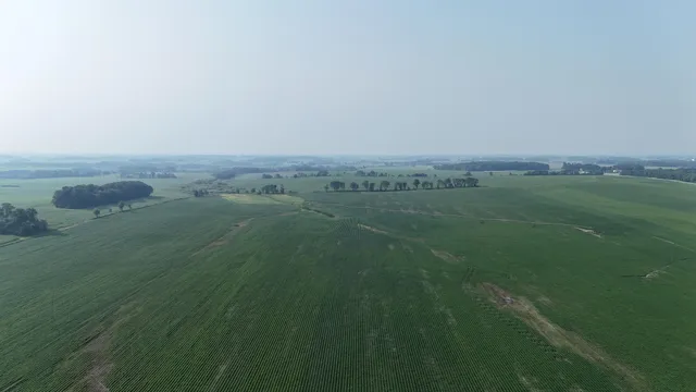 $2,957,409 | 0 County 61, Browerville, MN 56438