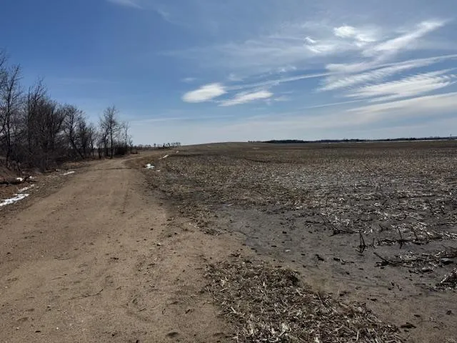 $2,957,409 | 0 County 61, Browerville, MN 56438