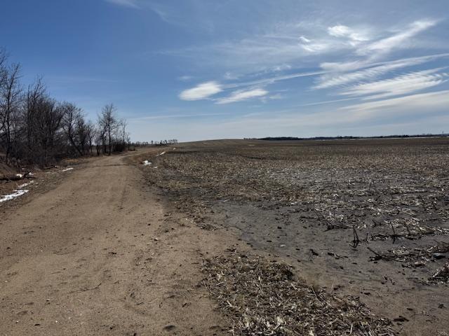 0 County 61 Browerville, MN 56438 - Photo 51 of 59