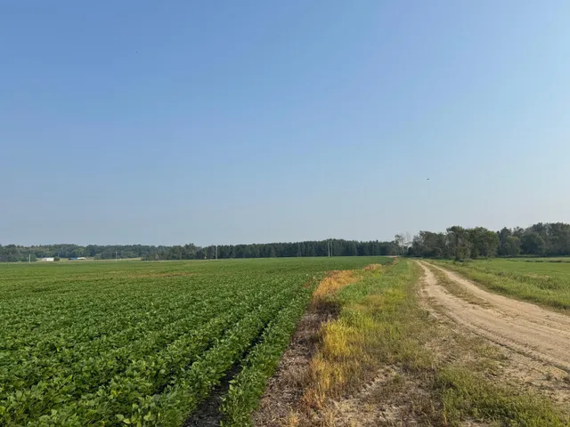 $2,957,409 | 0 County 61, Browerville, MN 56438