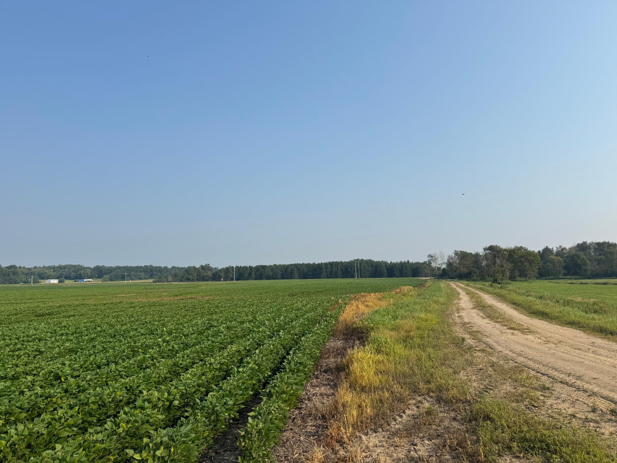 0 County 61 Browerville, MN 56438 - Photo 8 of 59