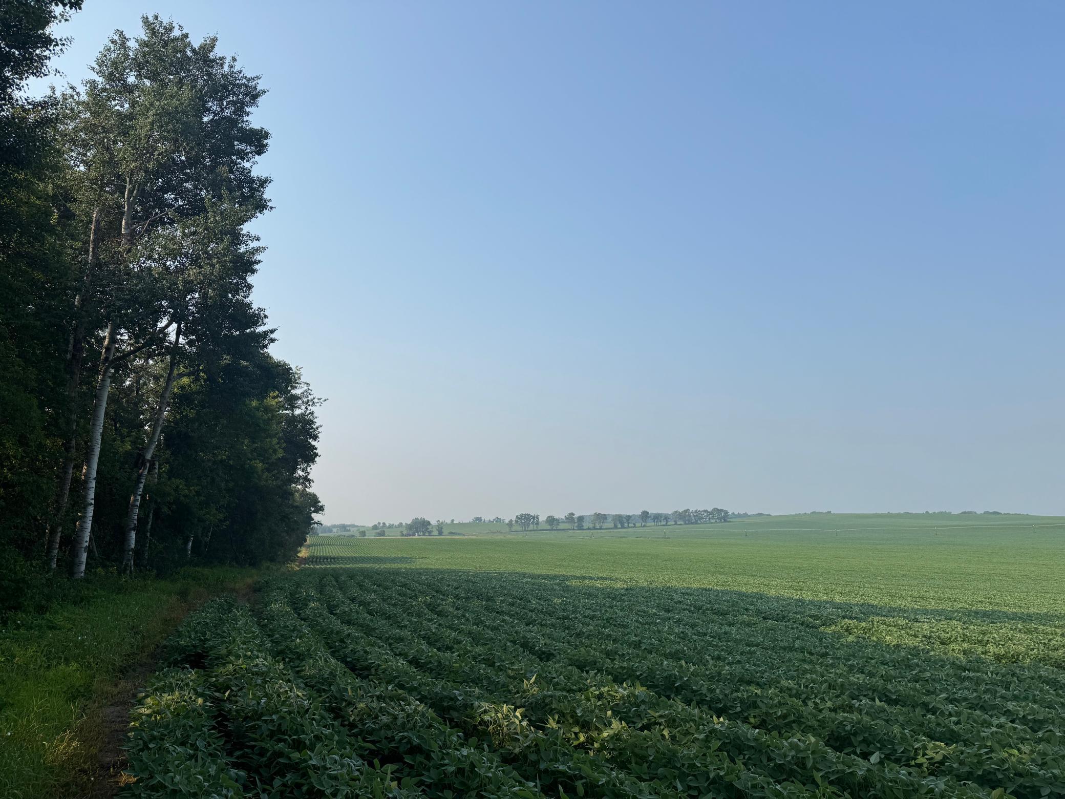 0 County 61 Browerville, MN 56438 - Photo 9 of 59