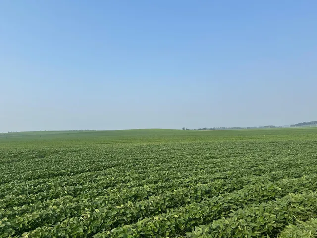 $2,957,409 | 0 County 61, Browerville, MN 56438